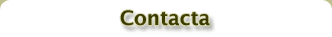 Contacta