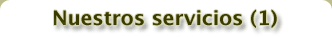 Nuestros servicios (1)